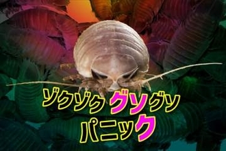 水族館×ハロウィーンイベント　オオグソクムシやヒカリキンメダイなど不思議な生物が登場