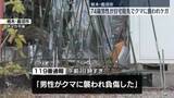 「クマに襲われ、74歳の男性ケガ　自宅の庭先で　栃木・鹿沼市」の画像1
