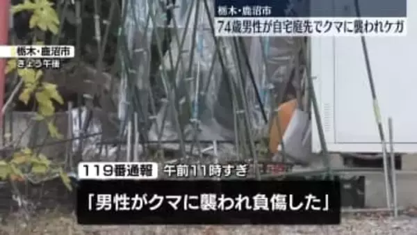 クマに襲われ、74歳の男性ケガ　自宅の庭先で　栃木・鹿沼市