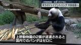 「上野動物園・双子のジャイアントパンダ　来月下旬、中国に返還へ　国内のパンダはゼロに」の画像1