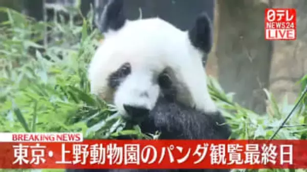 上野動物園のパンダ　観覧最終日　27日の旅立ち前に