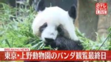 上野動物園のパンダ　観覧最終日　27日の旅立ち前に