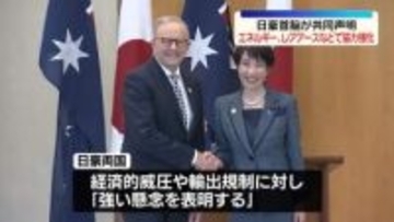 日豪首脳会談　エネルギーやレアアースなど経済安保分野の協力強化で一致