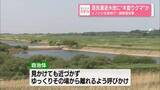 「渡良瀬遊水地に“木登りクマ”か　イノシシ生息地で…調査員目撃」の画像1