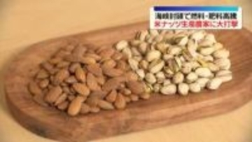海峡封鎖で燃料・肥料高騰　米ナッツ生産農家に大打撃