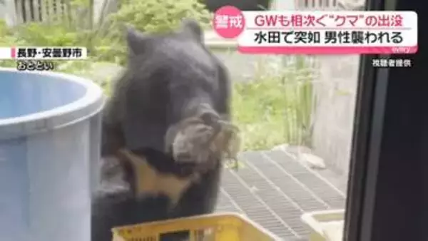 GWも“クマ”出没相次ぐ　水田で男性襲われる被害も