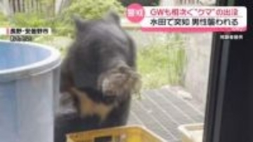 GWも“クマ”出没相次ぐ　水田で男性襲われる被害も