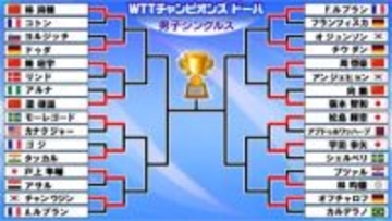 【卓球】張本智和がストレート勝ちで初戦突破　2回戦は日本選手全員登場　松島輝空×宇田幸矢の日本人対決も〈WTTチャンピオンズ ドーハ〉