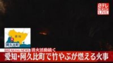 愛知・阿久比町で竹やぶ燃える火事…これまでにケガ人なし　消火活動続く