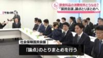 「国民会議」実務者会議　飲食料品の消費税率どうなる…論点とりまとめへ