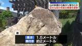 「巨大な岩が民家の車庫を直撃　山林の斜面から転がり落ちたか　長野・松本市」の画像1
