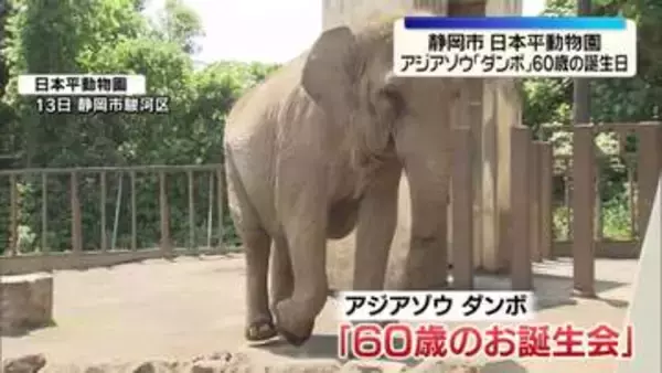 ゾウの「ダンボ」60歳の誕生日　多くの来園者が祝福　静岡