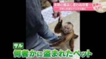 未明の質店に思わぬ珍客…好奇心旺盛なサルが大暴れ　アメリカ・テネシー州【 #世界のミダシ 】