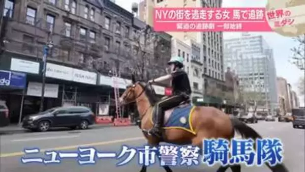 NYの街を逃走する女　馬で追跡　緊迫の追跡劇一部始終