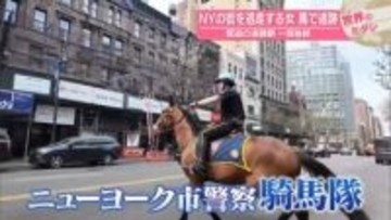 NYの街を逃走する女　馬で追跡　緊迫の追跡劇一部始終
