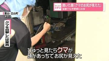 開いた扉『クマのお尻が見えた』　猛暑でも平野部に出没　富山・立山町