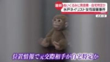 ぬいぐるみに発信機…自宅特定か　水戸ネイリスト殺害事件