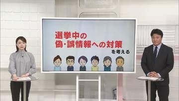 選挙中のSNS対策、法制化へ　偽・誤情報の拡散防ぐ【 #きっかけ解説 】