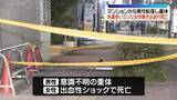 「マンションから男性転落し重体　歩道歩いていた女性が巻き込まれ死亡　愛知・名古屋市」の画像1