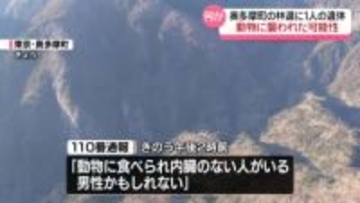 「動物に食べられ内臓のない人がいる」林道に1人の遺体　東京・奥多摩町