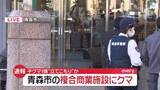 「【現場の様子】子グマ1頭“立てこもり”か　青森市の商業施設にクマ」の画像1