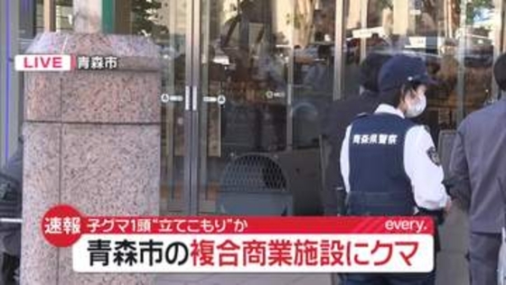 【現場の様子】子グマ1頭“立てこもり”か　青森市の商業施設にクマ