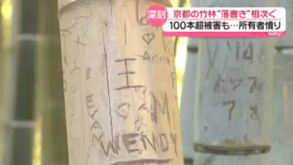 京都の竹林で落書き相次ぐ　被害100本以上…「思い出は竹ではなく心に」所有者の願い