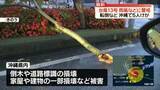 「【台風13号】雨風などに警戒続く　沖縄で転倒など5人ケガ　各地で倒木や道路標識の損壊、家屋や建物一部損壊などの被害も」の画像1