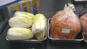 中国で“ホルムアルデヒド白菜”出荷　韓国政府「国内には輸入されていなかった」