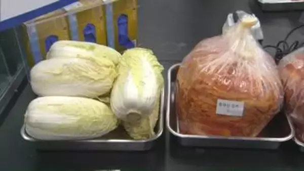 中国で“ホルムアルデヒド白菜”出荷　韓国政府「国内には輸入されていなかった」