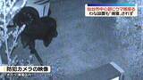 「仙台市中心部の住宅地にクマが居座る」の画像1
