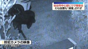 仙台市中心部の住宅地にクマが居座る