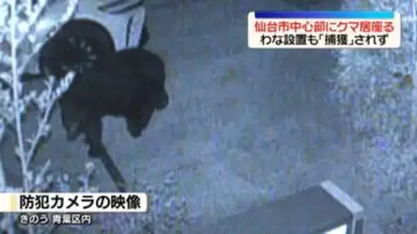 仙台市中心部の住宅地にクマが居座る