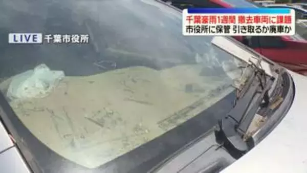 千葉豪雨1週間　撤去車両に課題　引き取るか廃車か…市役所に保管