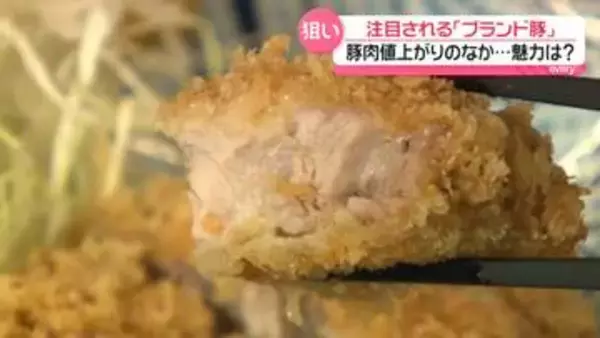 豚肉の値上がり続くなか…“ブランド豚”に熱視線のワケ　飼育環境や血統などにこだわり