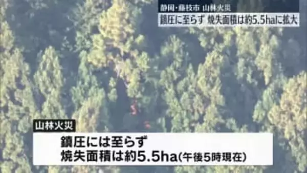 静岡県藤枝市の山林火災、鎮圧に至らず　19日も早朝から消火活動へ