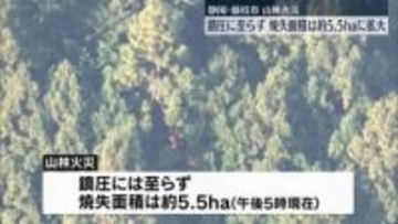 静岡県藤枝市の山林火災、鎮圧に至らず　19日も早朝から消火活動へ