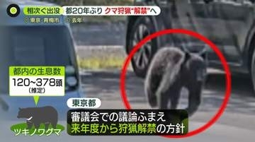 東京都、クマ狩猟を限定的解禁の方針　専門家“一定の効果”も「20年間やっていない」課題指摘