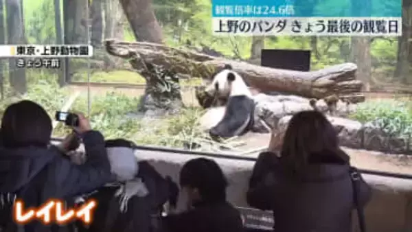 上野のパンダ きょう最後の観覧日　多くのファンが別れ惜しむ
