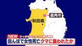 「クマに襲われたか　田んぼに倒れた女性…死亡確認　ひっかかれたような傷が複数　秋田・鹿角市」の画像1