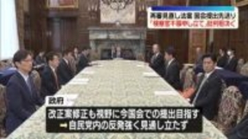 再審見直し法案、国会提出先送り　政府が与野党に伝達