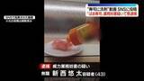 「「はま寿司」で商品に“食器用洗剤”かける様子を撮影…SNSに投稿し業務妨害か　43歳の男を逮捕」の画像1