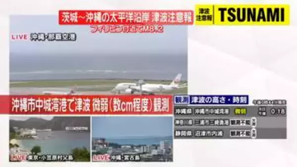 沖縄市中城湾港で数センチ程度の津波観測