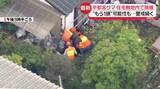 「宇都宮の住宅敷地内でクマ捕獲　“都市部ならではの難しさ”専門家は指摘　2頭以上いる可能性も」の画像1