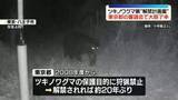 「ツキノワグマ猟“解禁計画案”東京都の審議会で大筋了承　2027年度から」の画像1