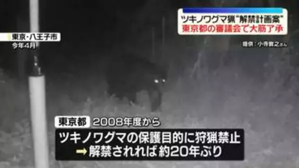 ツキノワグマ猟“解禁計画案”東京都の審議会で大筋了承　2027年度から