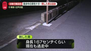 【速報】散歩中に刃物で足刺され男性ケガ　刺した男は逃走　東京・江戸川区