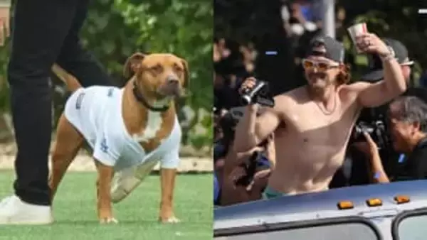 「カルロスは僕の友達！」山本由伸の愛犬カルロスを包み込むキケ・ヘルナンデス　撮影者の飼い主も安心した様子