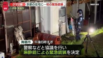 【速報】京都・舞鶴市の住宅街にツキノワグマ2頭出没…京都府初となる緊急銃猟を実施　ケガ人なし
