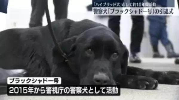 「ハイブリッド犬」として約10年間の活動終え…警察犬の引退式